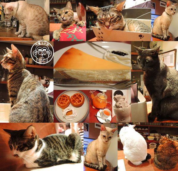 呷飽祙【台北大安･極簡咖啡】萌店長們駐店迎接你        
      