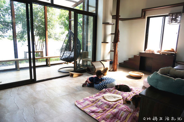 <主題特色餐廳>專屬貓咪的五星級Villa，和貓咪一起共享輕食(時)光@宜蘭五結*貓極簡