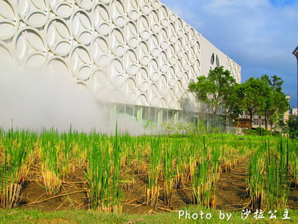 城市梯田-「種子計畫移動美術館」延展至3/2