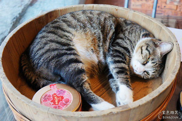 ▋宜蘭餐廳▋羅東.千松園健康蔬食廚房~藝術家妝點下的蔬食餐廳