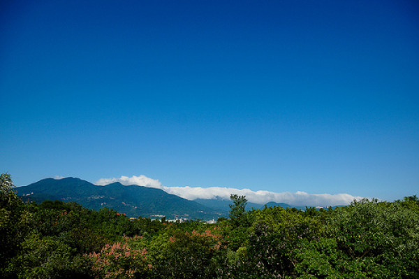[食記]Oicky 與大自然零界線的咖啡廳 來關渡自然公園絕不能錯過 – 咖啡鴨
