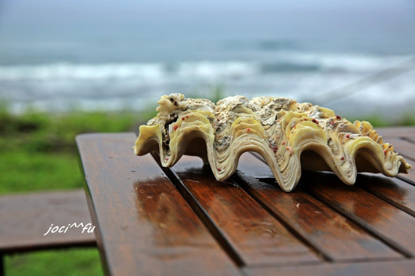 來去台東~轉個彎遇見海角八邊 Cape 8 與山海共舞  <成功>