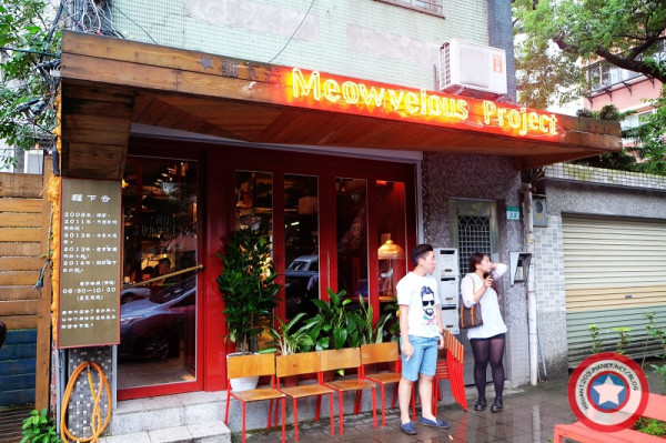 台北中正。貓下去計劃 Meowvelous Project