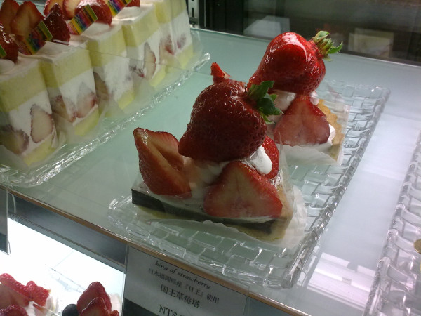 中文名字超難念之Arrow Tree