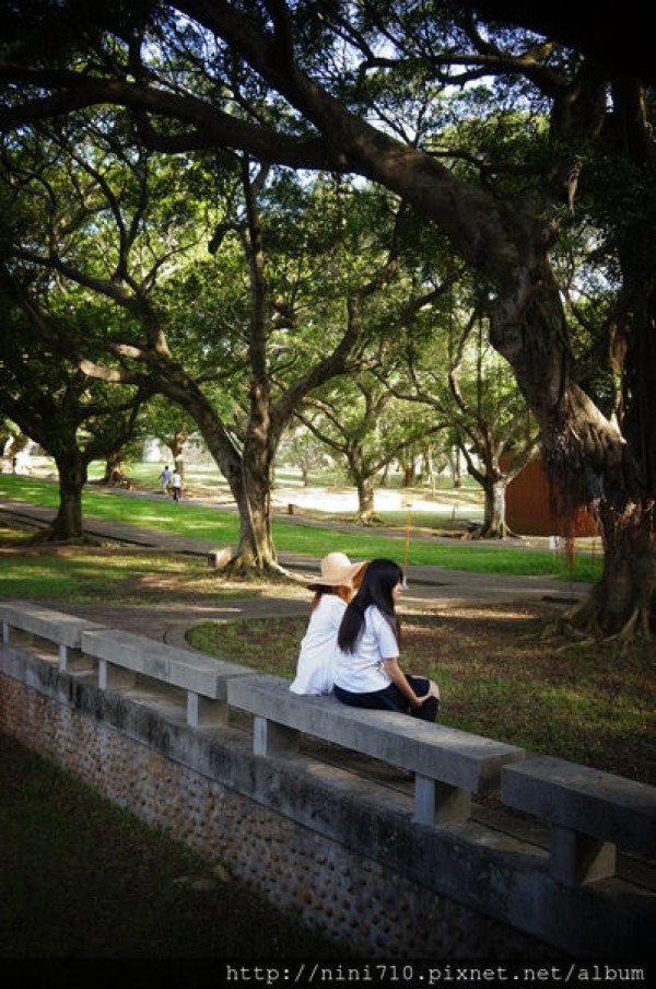 台中美食~沒想到東海大學好美又好吃 文理大道 路思義教堂 東海乳品小棧