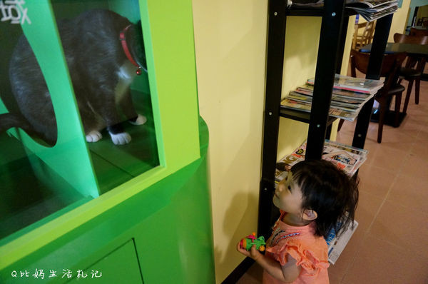 <親子友善餐廳> 小孩與貓咪在巷弄裡的邂逅，隱藏著簡單幸福的小美味 @新北市板橋 ღ 樂貓輕食坊