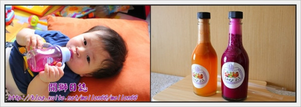 (喝)三峽-新鮮水果現打完全不加冰不加糖的純果汁-水果小姐~