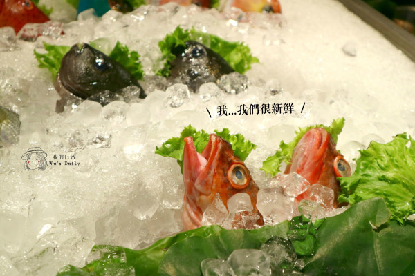 ├吃喝┤├捷運大坪林站┤龍門客棧-為這沒名沒姓的年代乾杯!