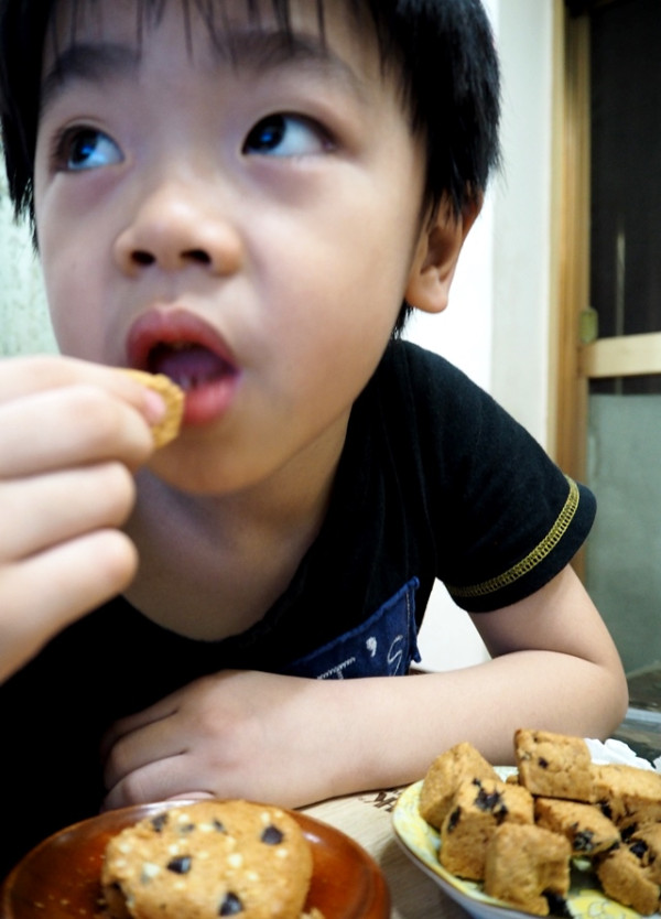 食。宅配團購-西點(餅乾)。體驗-劉媽媽手工坊 純手藝的美味小點心。吃在嘴裡甜在心裡圓在肚裡