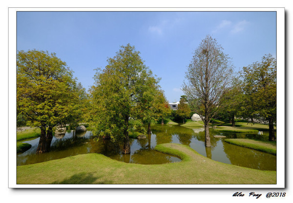 雲林縣-虎尾鎮-青埔落羽松秘境+虎尾王家當歸鴨肉麵線+溝埧好涼冰店+西螺祖傳麻糬大王
