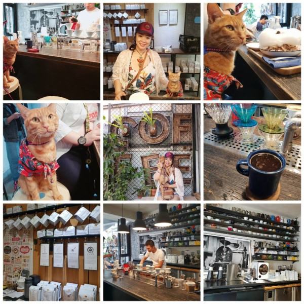 【台中.西區】Coffee stopover超專業文青咖啡店。自家烘焙咖啡超強專業知識。寵物友善咖啡
