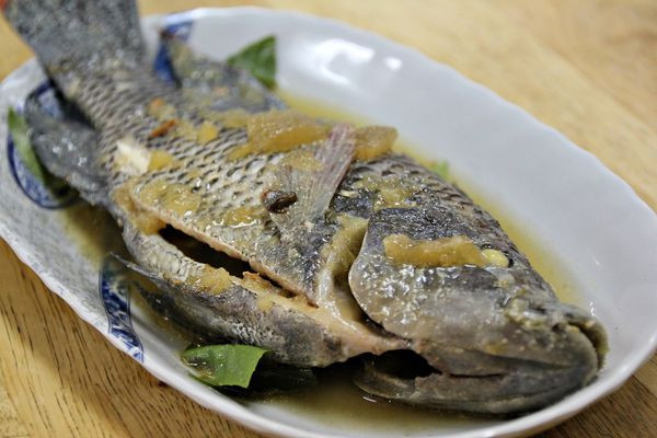 【正宗嘉義火雞肉飯】古早的滋味