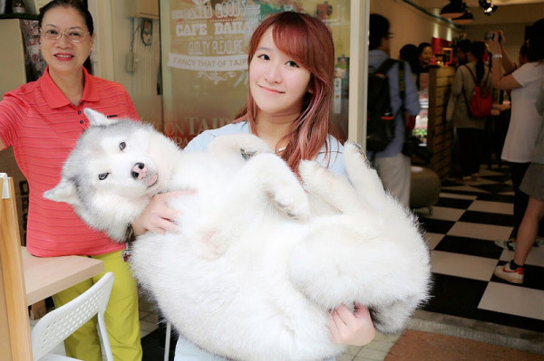  【羽諾分享】臺北美食店家再造計畫❤找回料理精神-臺北街角美食之旅