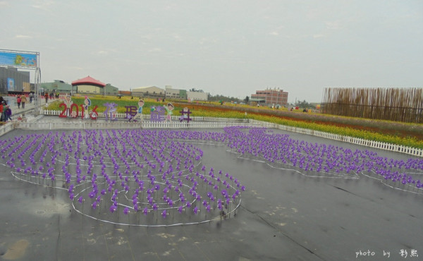 【台中。龍井】 2016花現龍井~龍井花海、田園景色