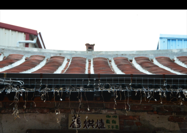 安平老厝【舊烘爐咖啡】＋1/2藝術蝦水彩速寫特展★★★