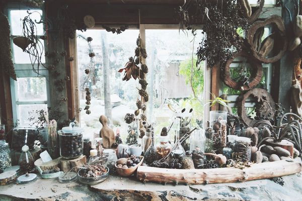 【台南市區】『千畦種籽館』推薦景點☛藏匿於市區悠閒步入祕密花園