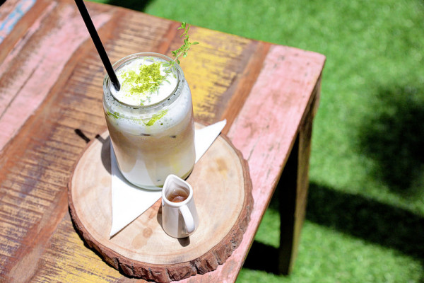 新竹 nolas café X 在閣樓小森林咖啡館與貓咪野餐