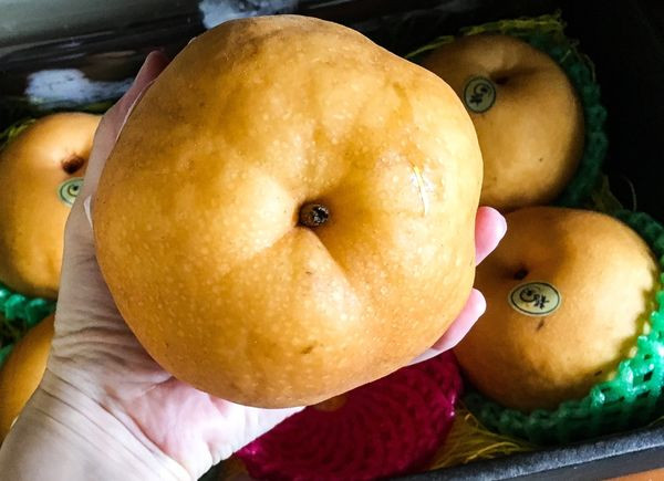 新社龍安果園水梨~甜美多汁的水梨-體驗團