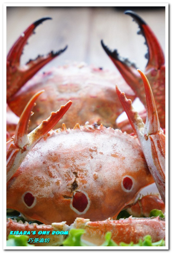 萬里蟹美食．龜吼漁港新進優質親切現撈海鮮店家──巧晏漁坊．上        
      