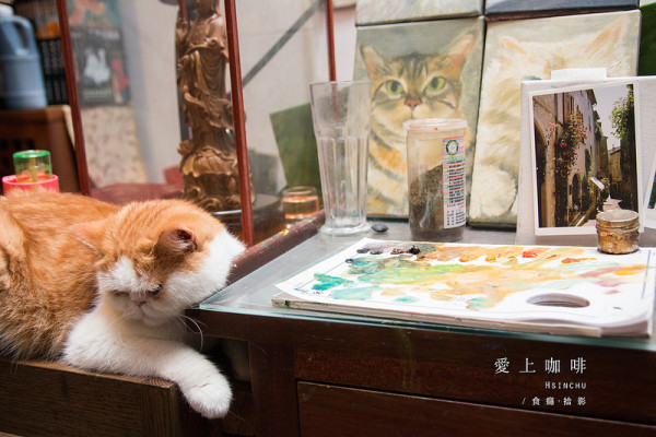 [食癮-下午茶]愛上咖啡｜迷戀與貓共吻咖啡的午後時光｜新竹縣北埔鄉