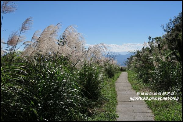 新北。峰芒畢露漫步五分山登山步道