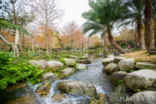 【遊記】｛花蓮。壽豐鄉｝落羽松祕境~鈺展苗圃