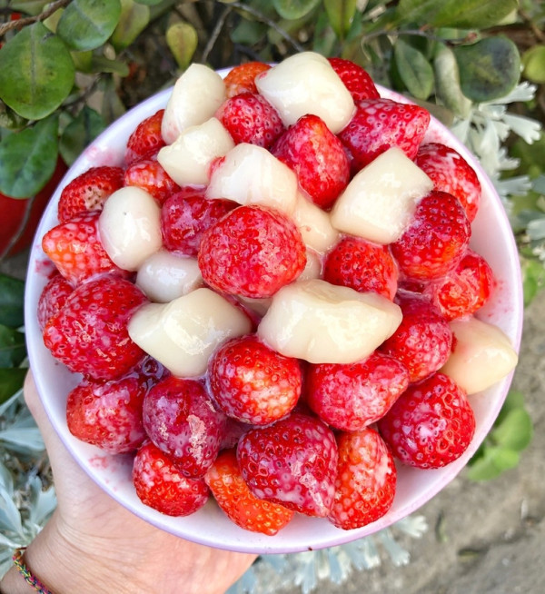 【 台南 ‧ 東區 】木子家八寶冰季節限定的草莓牛乳冰 20幾顆草莓只要100元鈔票價 酸甜滋味好幸福