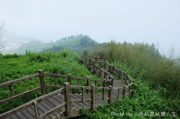 【嘉義。番路鄉】來~讓我們沿著阿里山公路尋找那擁有雲霧飄緲，山嵐無限的『二延平步道』，搞不好有機會體驗漫步在傳說中的雲海裡。