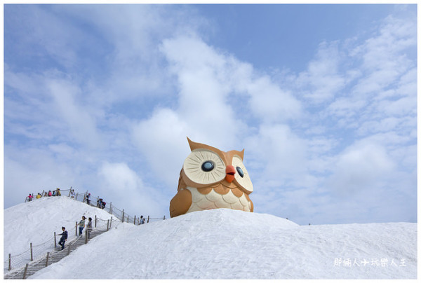 『台南景點』-第二站 七股鹽山新亮點~超萌超療癒ㄟ貓頭鷹公仔
