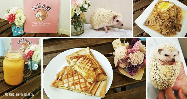【中正美食】與萌萌小刺蝟作伴的平價特製輕食－刺蝟小妞