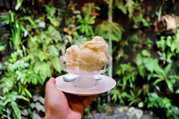 【台北美食】森林島嶼(富錦店) Gelato義式冰淇淋．台灣自然生態茶-民生社區富錦街咖啡廳