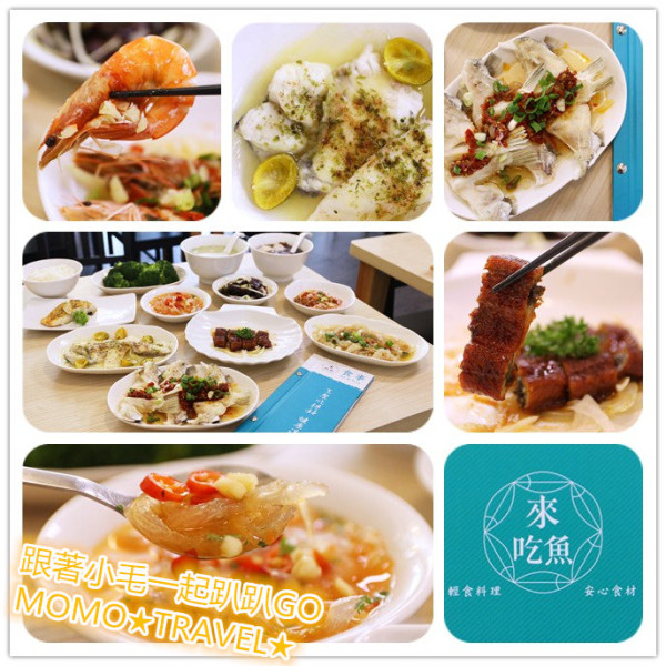 嘉義美食-來吃魚輕食料理(嘉義太保店) 從源頭把關的安心食材 鮮魚的美味料理