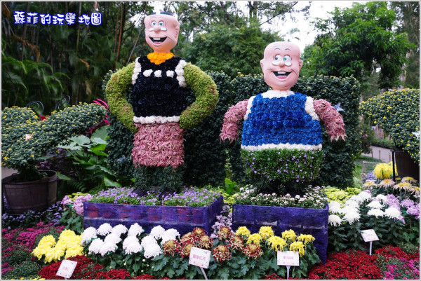 台北賞花。2017士林官邸菊展眾星雲菊