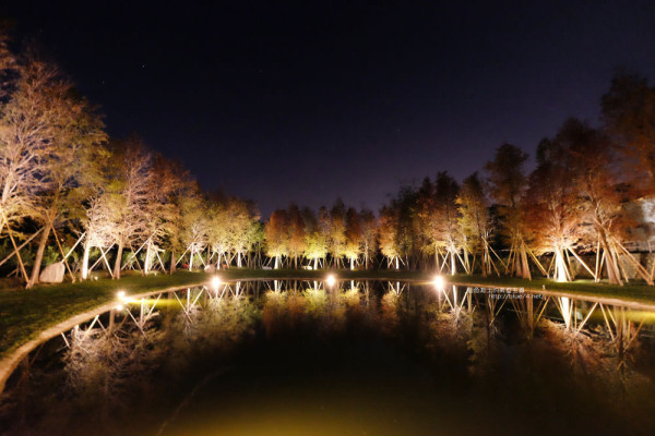 新竹關西│大樂之野景觀餐廳-落羽松包圍著愛心池塘.晚上多了唯美浪漫 - 藍色起士的美食主義