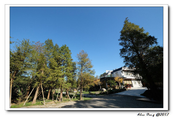 新竹縣-關西鎮-大樂之野 景觀餐廳