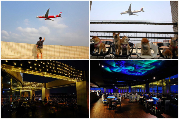 【食。桃園】大園101景觀餐廳〜桃園全新景觀餐廳。航空迷最愛！極光、燈海、飛機起降盡收眼底！(親子寵物友善餐廳)  