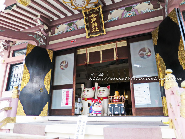 正宗招財貓!! 今戶神社 / 祈求好姻緣的能量景點~