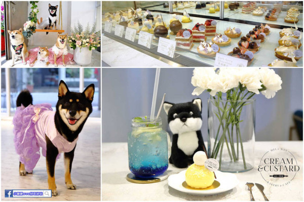 【食。台北】Cream&Custard.TW〜「網美系」夢幻甜點店。超好拍的盪鞦韆跟乾燥花牆，可愛店狗陪妳下午茶