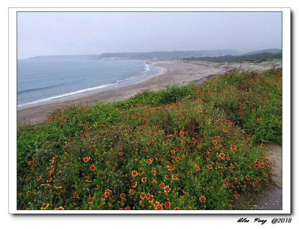 新北市-石門區-富貴角燈塔+豐村平價海鮮餐廳