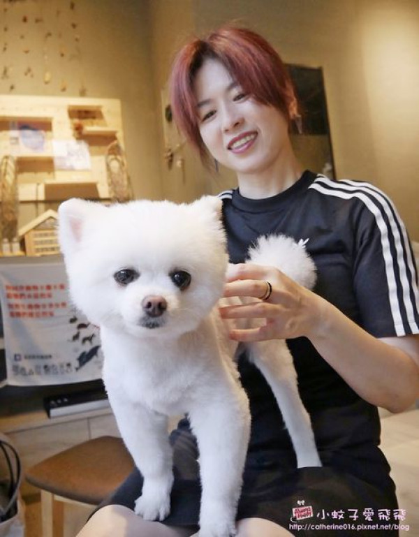 曰曰cafe 台北寵物友善餐廳 信義區不限時有插座wifi咖啡廳 超萌犬吉老闆