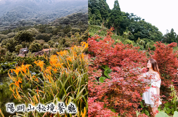 2019陽明山秘境餐廳-故鄉海芋餐廳，竹子湖賞金針花、紅楓葉；食尚玩家推薦白斬雞，平價家庭聚餐美食! - 原味覺醒 moni moni