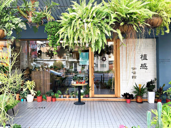 【苗栗 市區】植感咖啡館BotanicalCafe🌿🌿🌿充滿綠色植物與多肉的植(質)感咖啡廳，環境舒適，餐點也不錯，一起度過悠閒的午後吧！