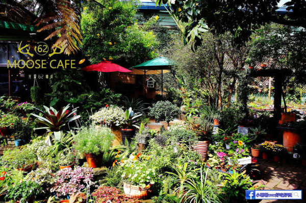 【食。中壢】光源62咖啡〜桃園中壢庭院餐廳。城市裡的小花園，宛如花店般的咖啡館，每個角落都好拍