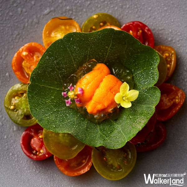 誰說米其林都吃不飽！「TABLE by Yoji Tokuyoshi」快閃店最終倒數計時，台灣獨家限定「IG網紅必拍絕美套餐」限時打卡。