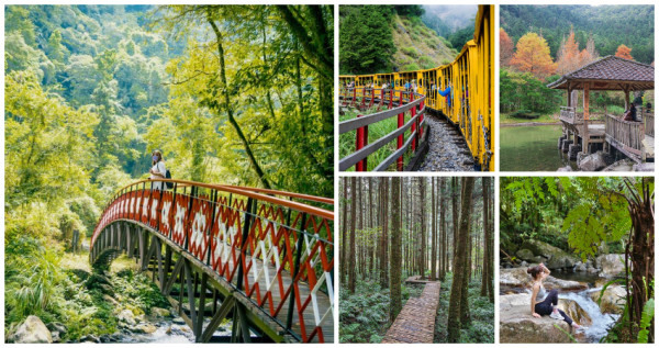 衝宜蘭打卡先筆記！7個大同「自然系景點」不能不知道，走入「溪林秘境、神木園區」仙境美照一路拍不停。