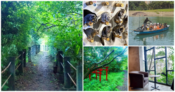 7個安坑景點美拍！新店人秘密基地「神秘貓咖、水岸親子步道」，帶你領略新店安坑的美。