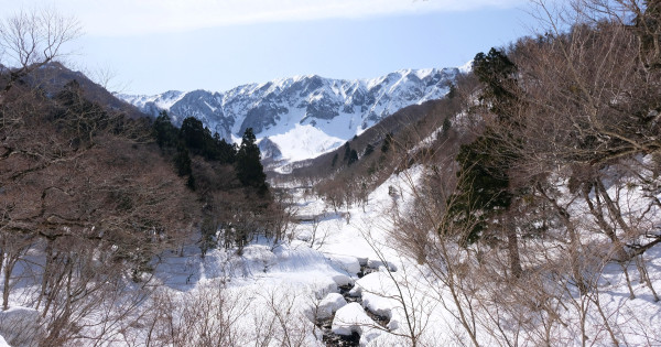 鳥取大山冬日玩雪！夢幻雪景、千年佛寺一次拍到，4大滑雪場加碼推薦。