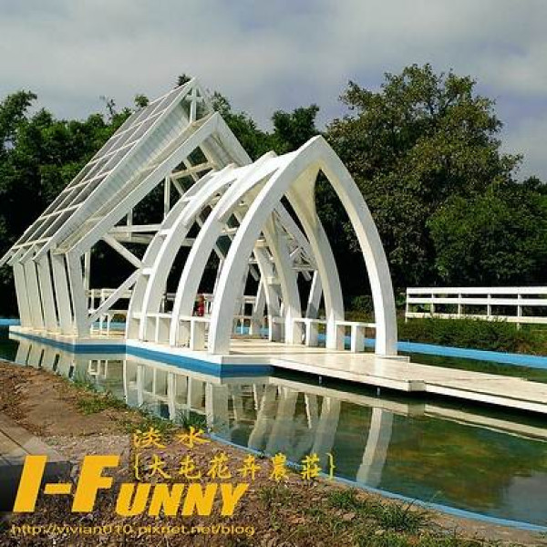 【淡水】超夢幻拍照場地~大屯花卉農莊