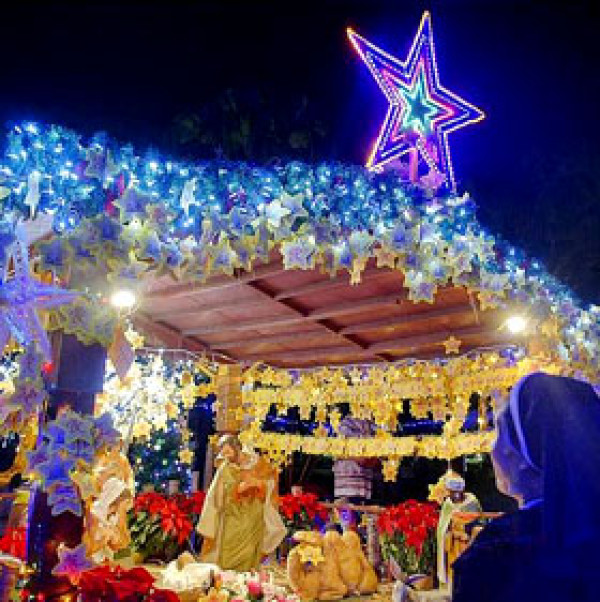 [新莊輔大  陶花園] 花店裡比臉還要大的豬排等你來挑戰 x輔大耶誕城