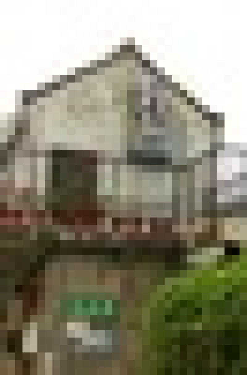 台北 好，丘good chos